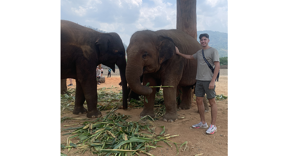 Un étudiant avec deux éléphants en Thaïlande