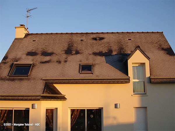 une méthode simple pour identifier les ponts thermiques en toiture : attendre un jour de grand froid. Déficit d’isolation à la j