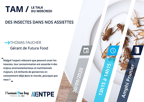 Des insectes dans nos assiettes