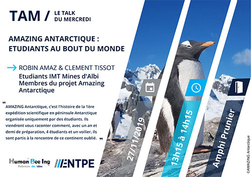 Amazing Antarctique