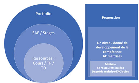schéma de l’organisation de l’évaluation des compétences