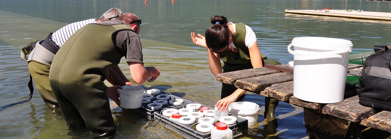 Laboratoire d'écologie des hydrosystèmes naturels et anthropisés (LEHNA)