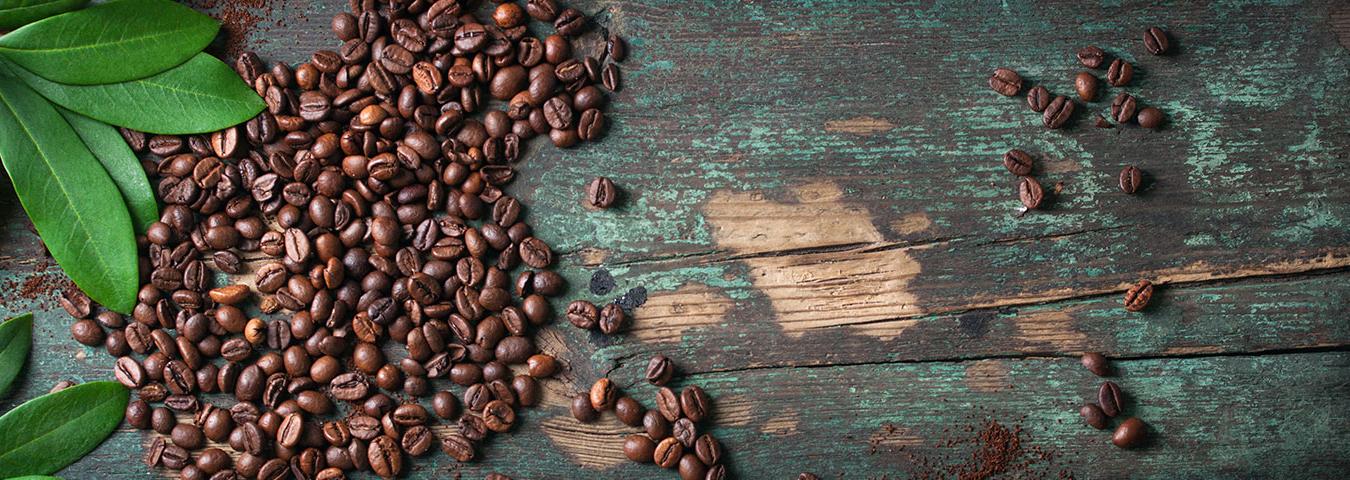 Le café : de la plante à la boisson