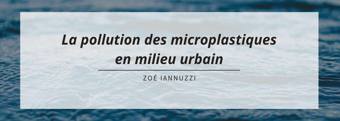 bannière - Zoé IANNUZZI (2)