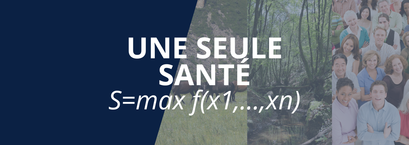 Bannière web - One Health - Une seule santé