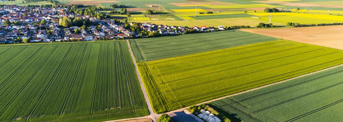 Comprendre les inégalités entre les territoires et réfléchir à des actions sur-mesure dans les espaces délaissés