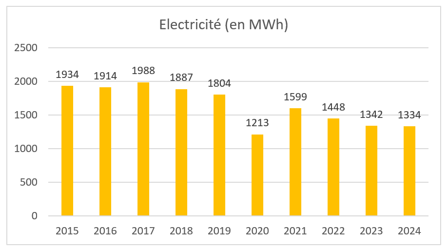 Diagramme concomparatif de la consommation d'électricité. en 2024 : 1 334 MWh