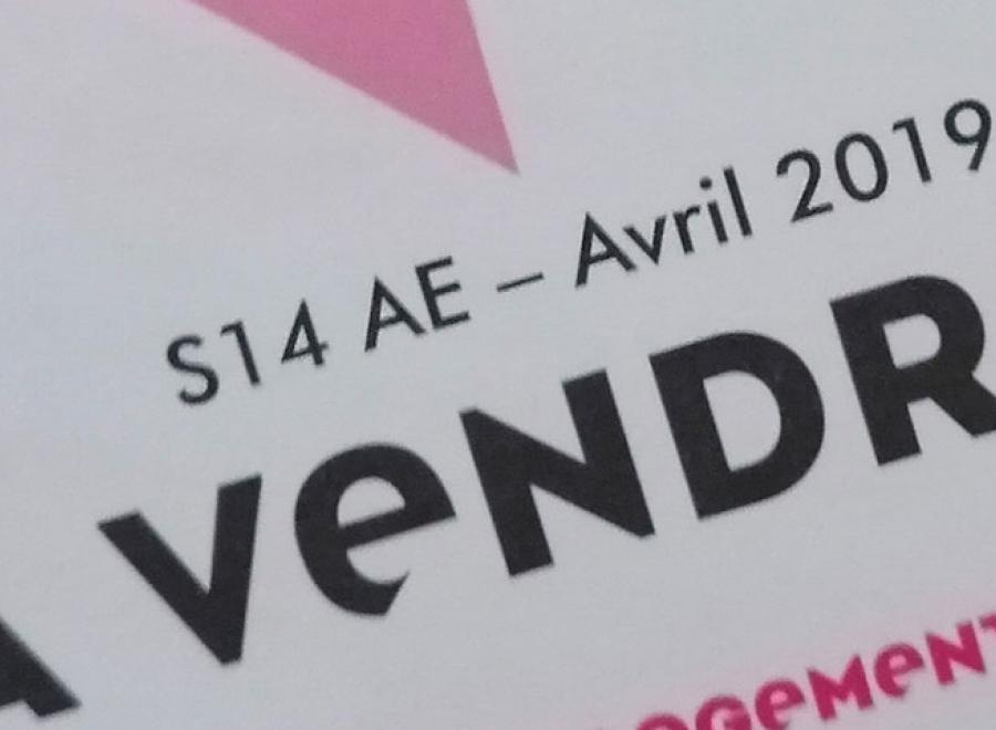 Le logement face aux marchés immobiliers financiarisés. Regards croisés France et Brésil