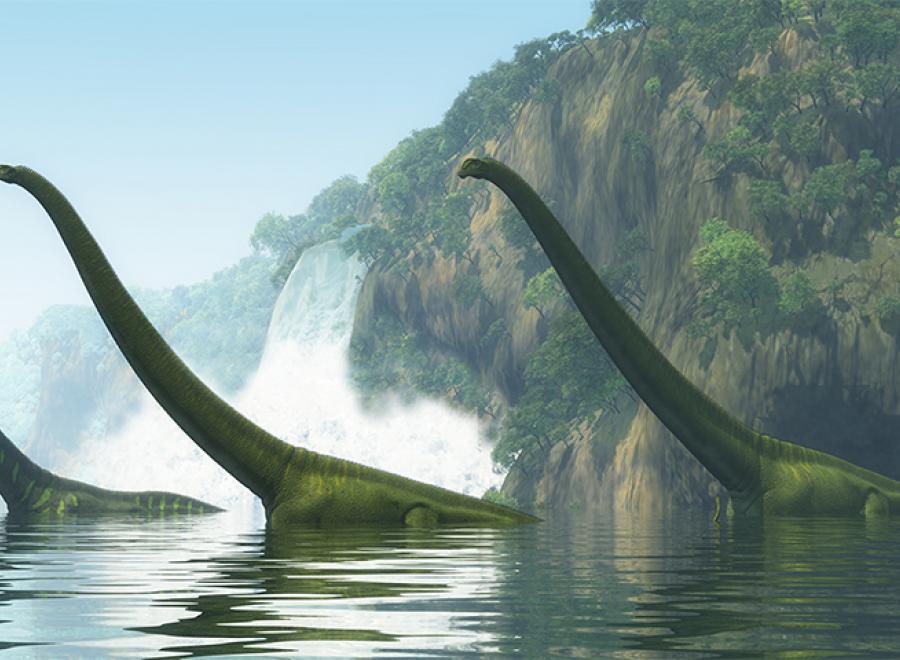 TAM La vie à la conquête des continents