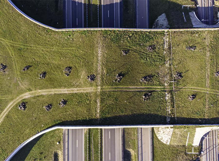 biodiversité et travaux publics