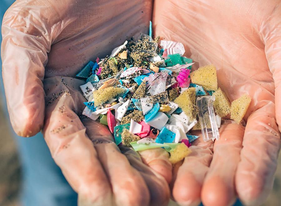 microplastiques