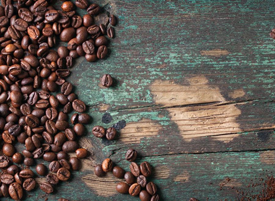 Le café : de la plante à la boisson