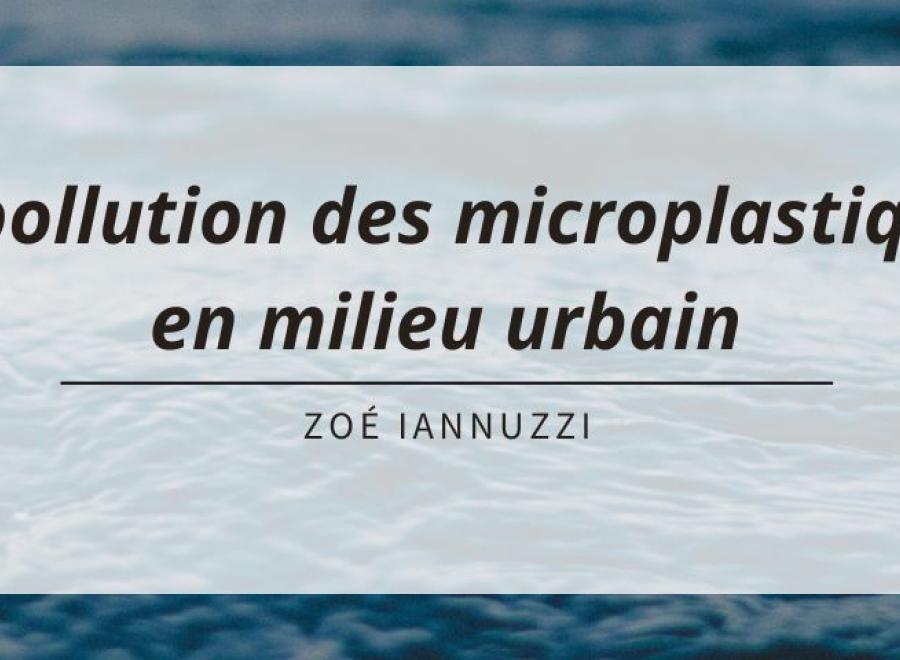 bannière - Zoé IANNUZZI (2)
