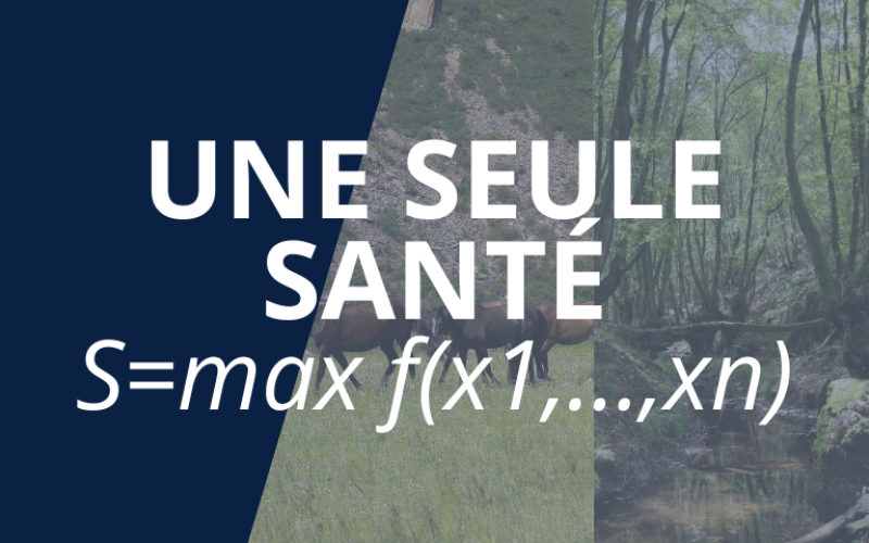 Bannière web - One Health - Une seule santé